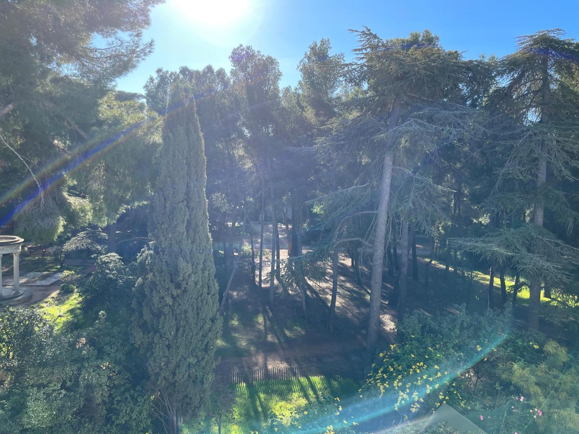 Bandol - Plage De Renecros Εξωτερικό φωτογραφία
